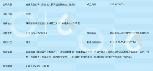 陜西省空港民航產業投資 機遇、路徑與戰略咨詢