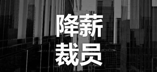 技術(shù)壁壘下的商業(yè)抉擇 一則關(guān)于堅(jiān)守與轉(zhuǎn)型的商業(yè)案例剖析